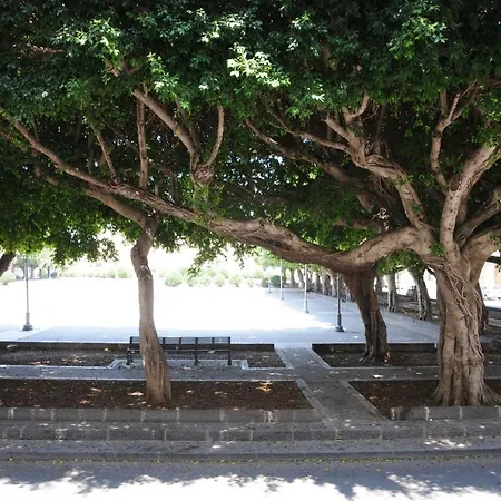 Fico D'india سيراكوزا